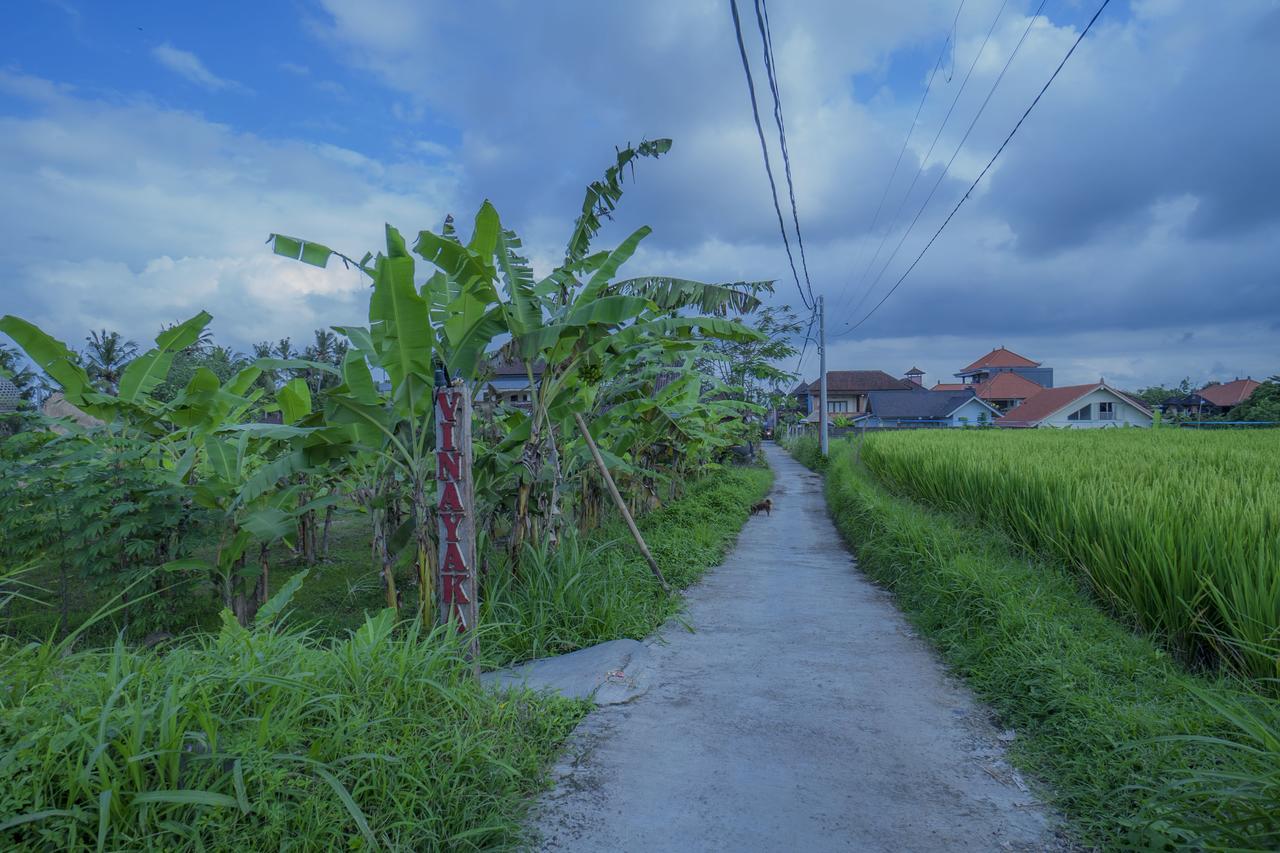 Vinayaka Ubud Kültér fotó
