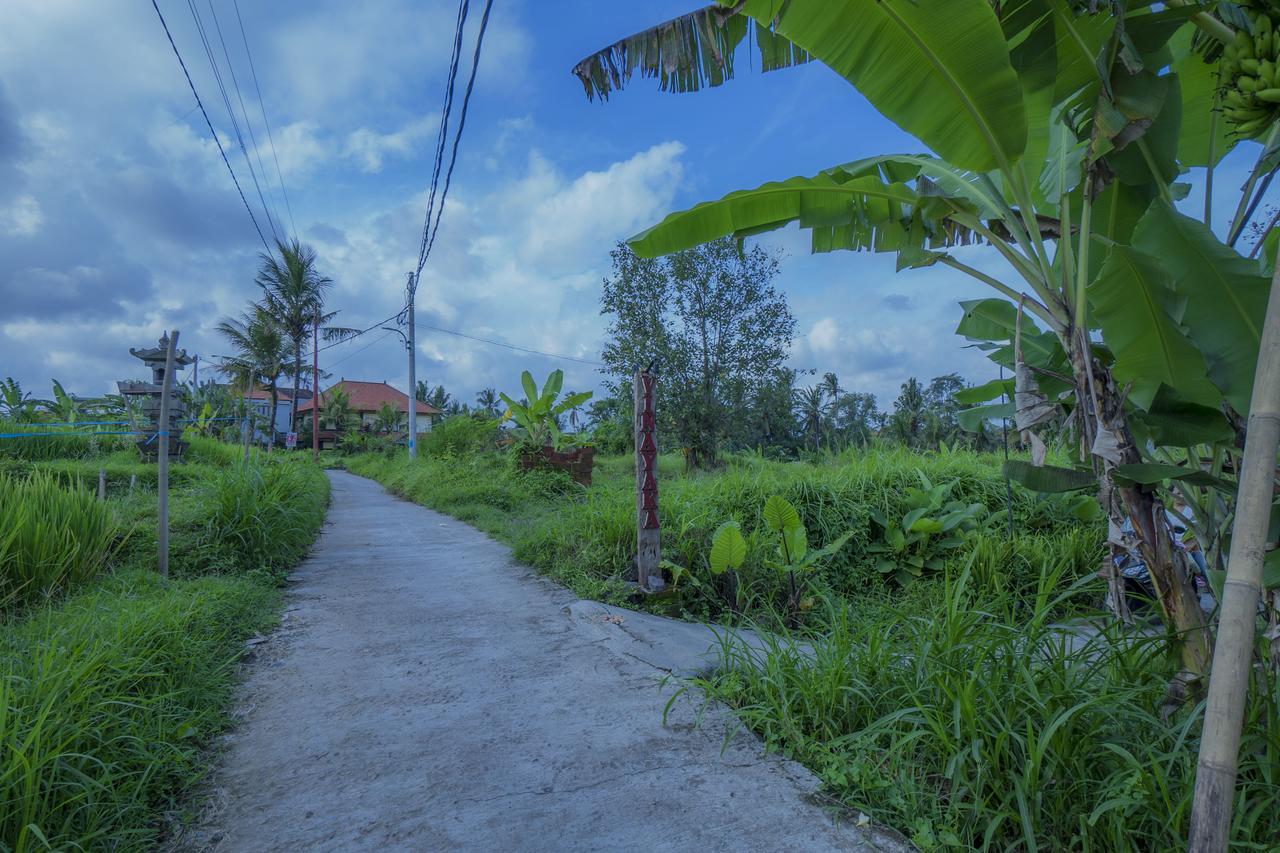 Vinayaka Ubud Kültér fotó